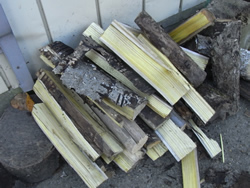 採取後の漆樹は薪として使用